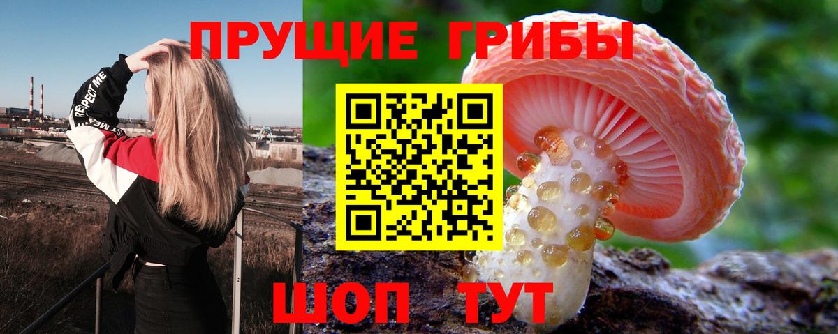 Галлюциногенные грибы GOLDEN TEACHER  Вход с VPN  Асино 